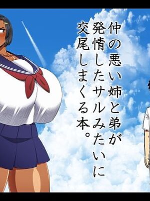 仲の悪い姉と弟が発情したサルみたいに交尾しまくる本。【夏中症】